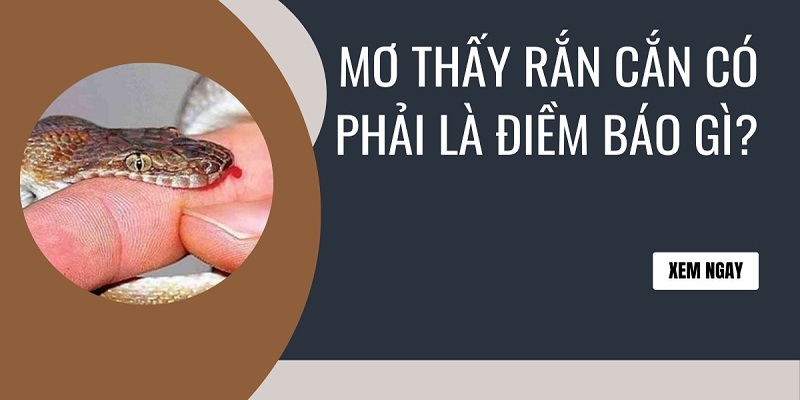 Tìm hiểu ý nghĩa giấc mơ thấy hai con rắn là tốt hay xấu