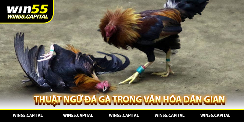 Thuật Ngữ Đá Gà Trong Văn Hóa Dân Gian Việt Nam